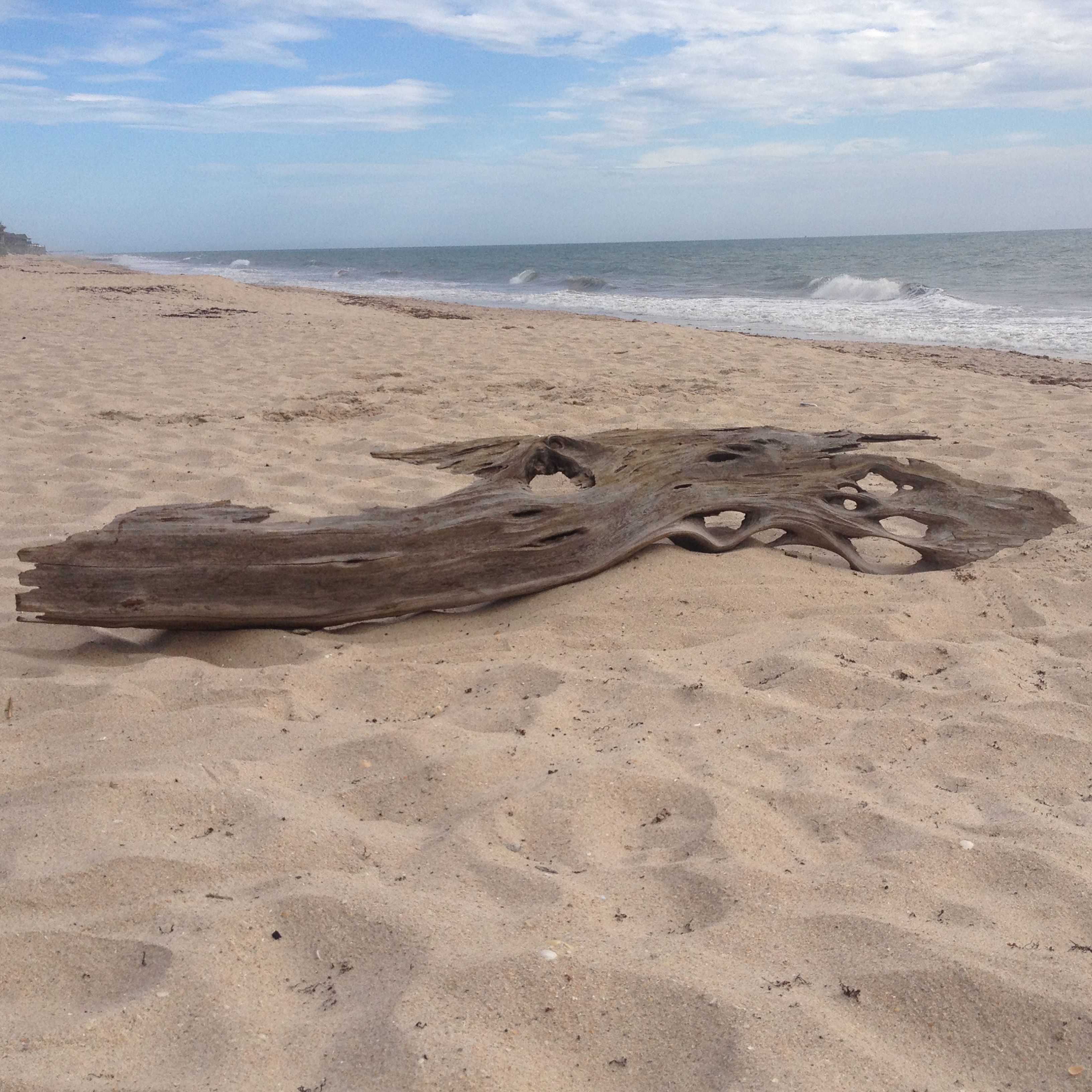 Our Boat House Announces Their New Driftwood Wall Art 